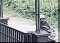 Viral! Aksi Pencurian Pot Bunga Terekam di Pontianak, Pelaku Diduga Sudah Dikenali Warga