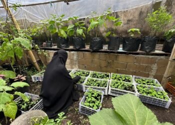 Belajar dari Nol, Sarah Bangun Usaha Bibit Organik di Pontianak