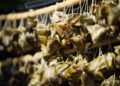 Dari Daun Bambu ke Identitas Kota: Mimpi Menjadikan Bakcang Ikon Kuliner Pontianak