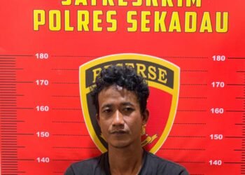 Pria di Sekadau Ditangkap Usai Curi Kabel Penangkal Petir Milik PLN di Lima Gardu Listrik
