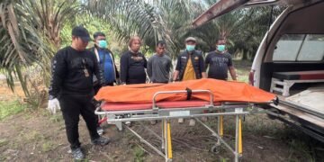 Pria di Ketapang Bunuh Mantan Pacar, Jasad Dikubur di Kebun Sawit