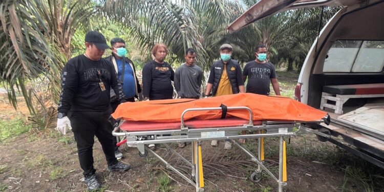 Pria di Ketapang Bunuh Mantan Pacar, Jasad Dikubur di Kebun Sawit