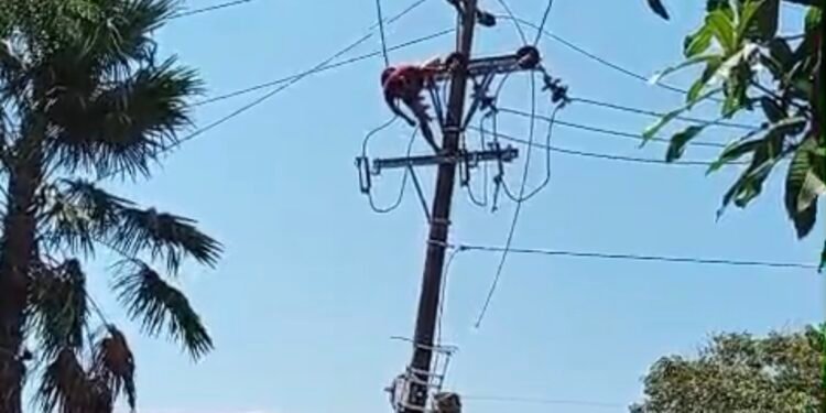 Diduga Hendak Mencuri Kabel, Pria di Pontianak Tersengat Listrik saat Panjat Tiang PLN