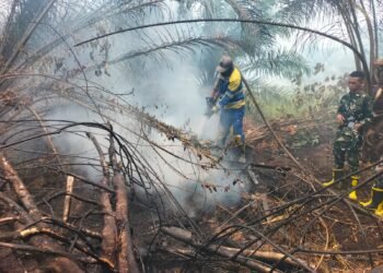 Hotspot Kalbar Capai 7.377 Titik, Norsan Instruksikan Pemadaman Karhutla Diperkuat