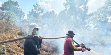 Karhutla Kalbar Terparah Keempat di Indonesia, Lahan Terbakar Diperkirakan Capai 2.000 Hektare
