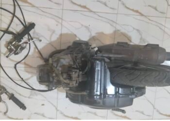 Motor Dicuri dari Kebun Kelapa, Pria di Tebas Ditangkap Polisi
