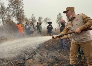 Norsan Soroti Dugaan Pembakaran Lahan di Pelang, Pemadaman Terkendala Kabut Asap
