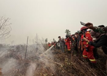 Gubernur Kalbar Ingin Lahan Bekas Karhutla Kembali Produktif, Alat Berat Jadi Salah Satu Solusi