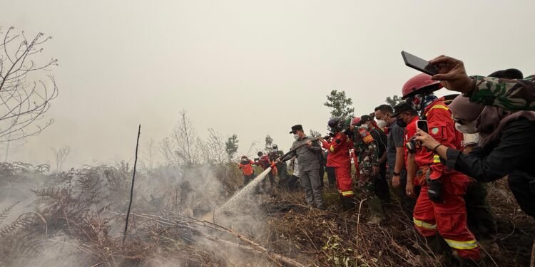 Gubernur Kalbar Ingin Lahan Bekas Karhutla Kembali Produktif, Alat Berat Jadi Salah Satu Solusi
