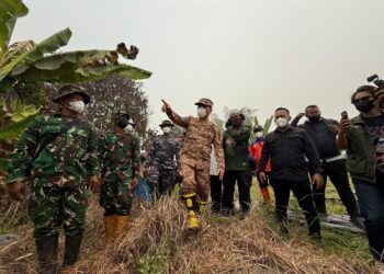 Karhutla Kalbar: 38 Ribu Hektare Terbakar, Lebih Separuh Sudah Ditangani