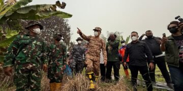 Karhutla Kalbar: 38 Ribu Hektare Terbakar, Lebih Separuh Sudah Ditangani