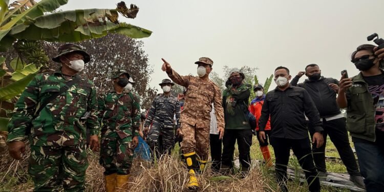 Karhutla Kalbar: 38 Ribu Hektare Terbakar, Lebih Separuh Sudah Ditangani