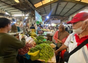 Dihantam Kemarau dan Air Asin, Petani Sulit Tanam Sayuran, Harga di Pontianak Melambung