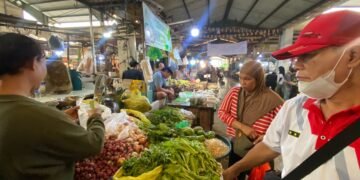 Dihantam Kemarau dan Air Asin, Petani Sulit Tanam Sayuran, Harga di Pontianak Melambung