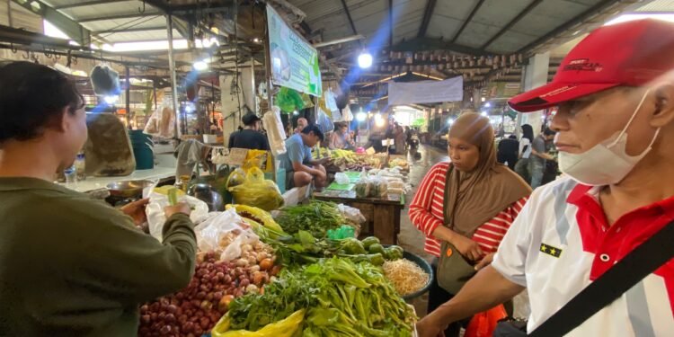 Dihantam Kemarau dan Air Asin, Petani Sulit Tanam Sayuran, Harga di Pontianak Melambung