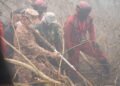 Api Gambut Sulit Dijinakkan, Norsan Perkuat Penanganan Karhutla Rasau Jaya