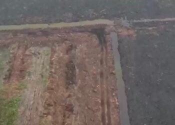 Usai Karhutla, Sekat Kanal Dibangun agar Gambut Tetap Lembap di Ketapang