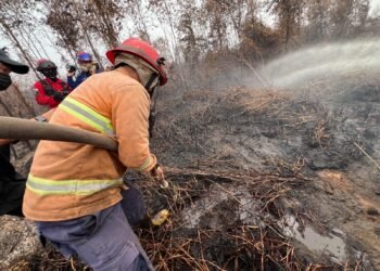 Penggunaan Dana Karhutla Dipantau Tiap Pekan, Pemprov Kalbar Pastikan Akuntabel